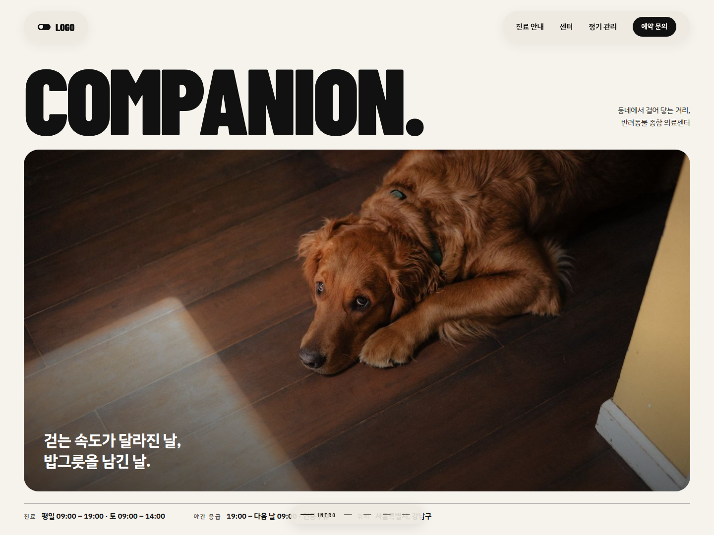 동행 템플릿 미리보기